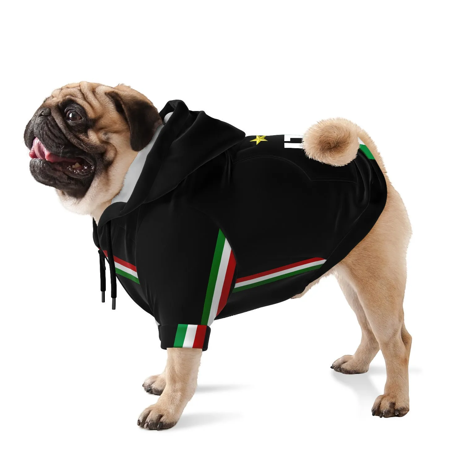 Dog Hoodie - Italia black