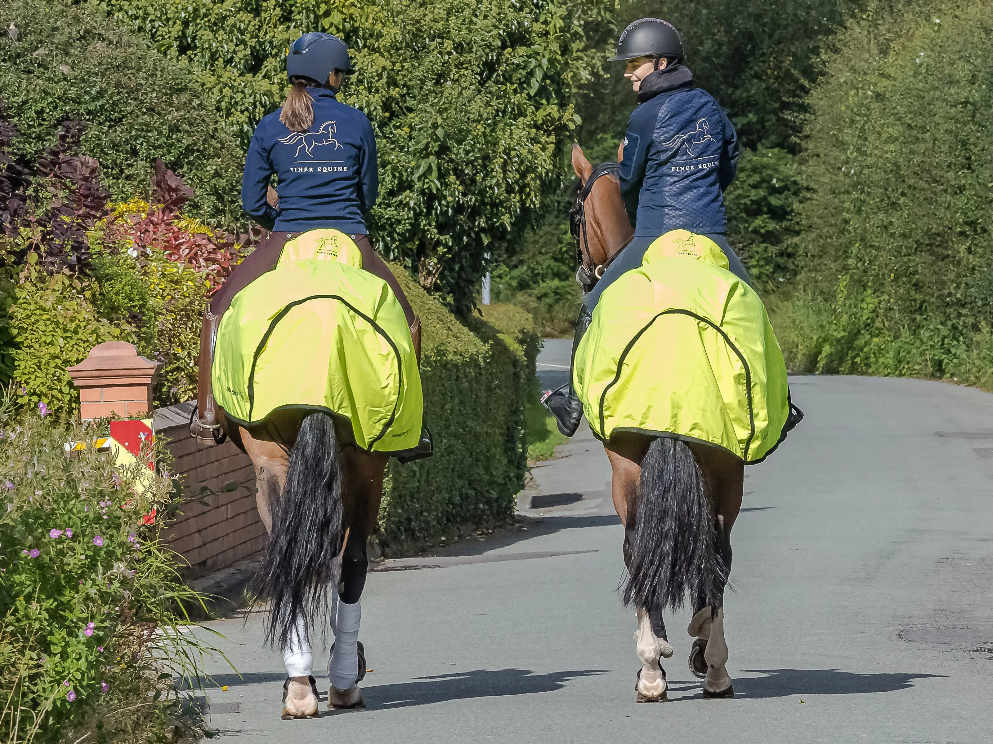 Finer Equine Summer Ride On Exercise Sheet