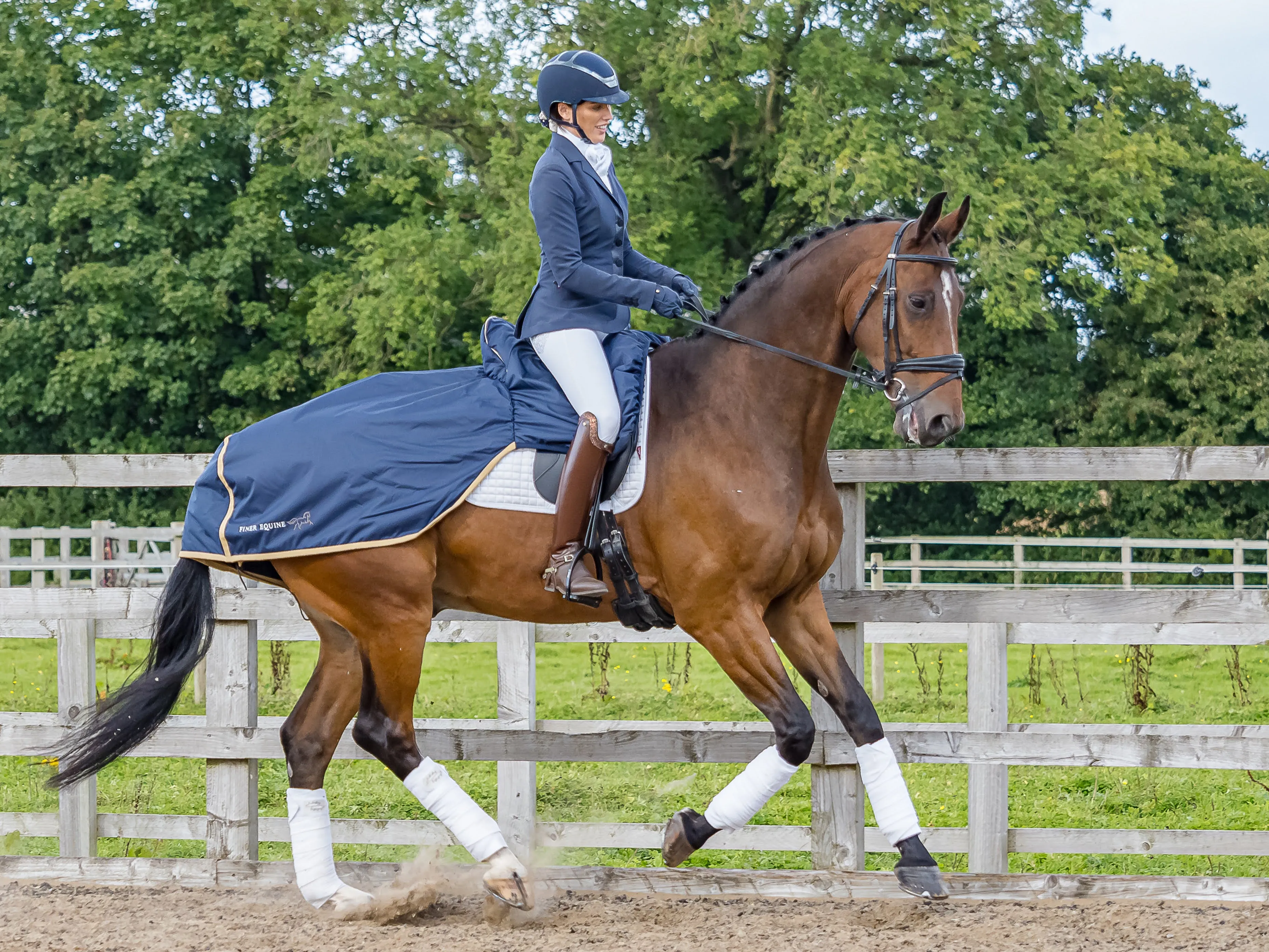 Finer Equine Summer Ride On Exercise Sheet