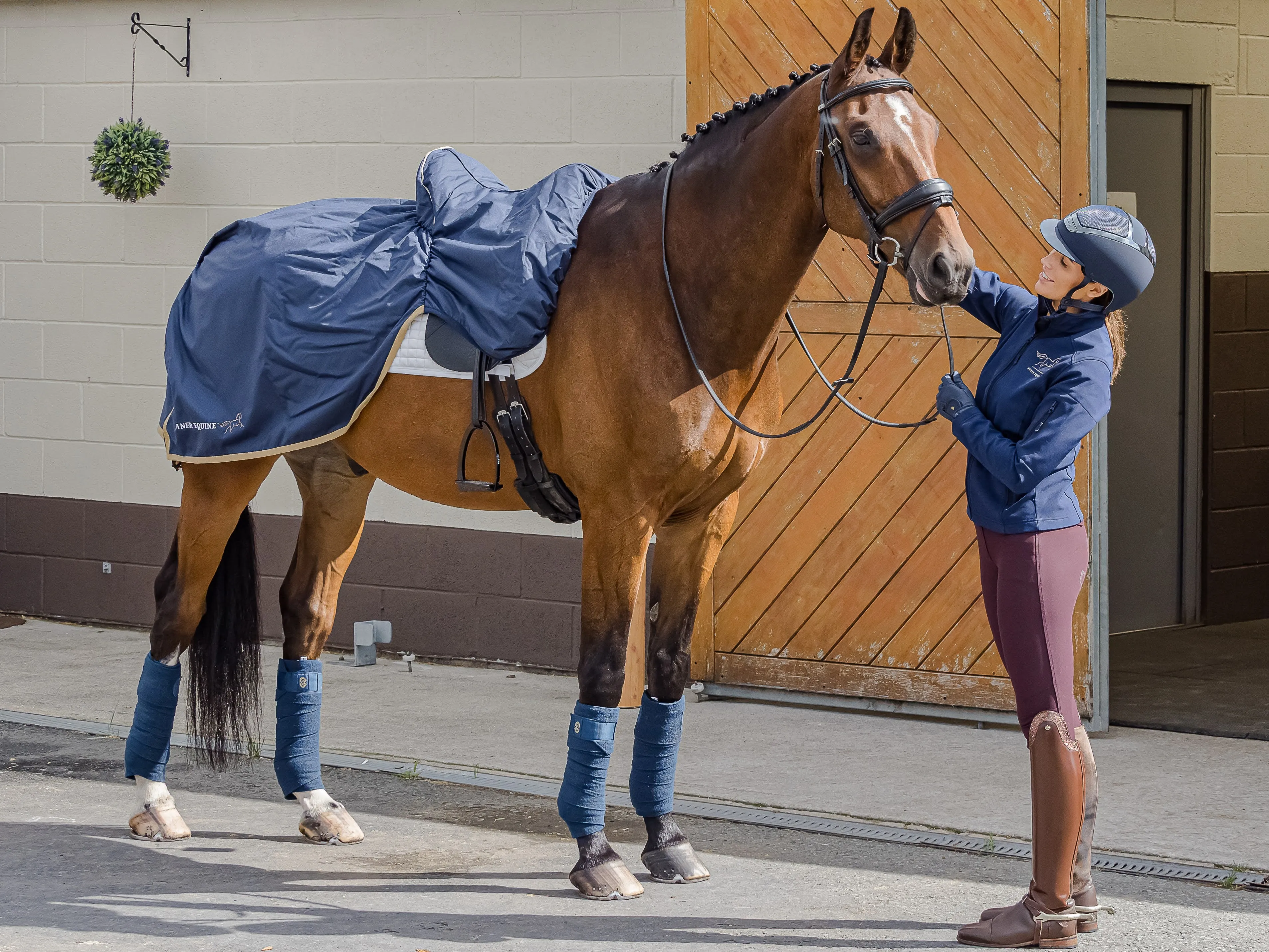 Finer Equine Summer Ride On Exercise Sheet