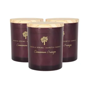 Home Fragrance | Soy Wax Scented Candles 130g Cinnamon & Orange Pack of 3 | Nicola Spring