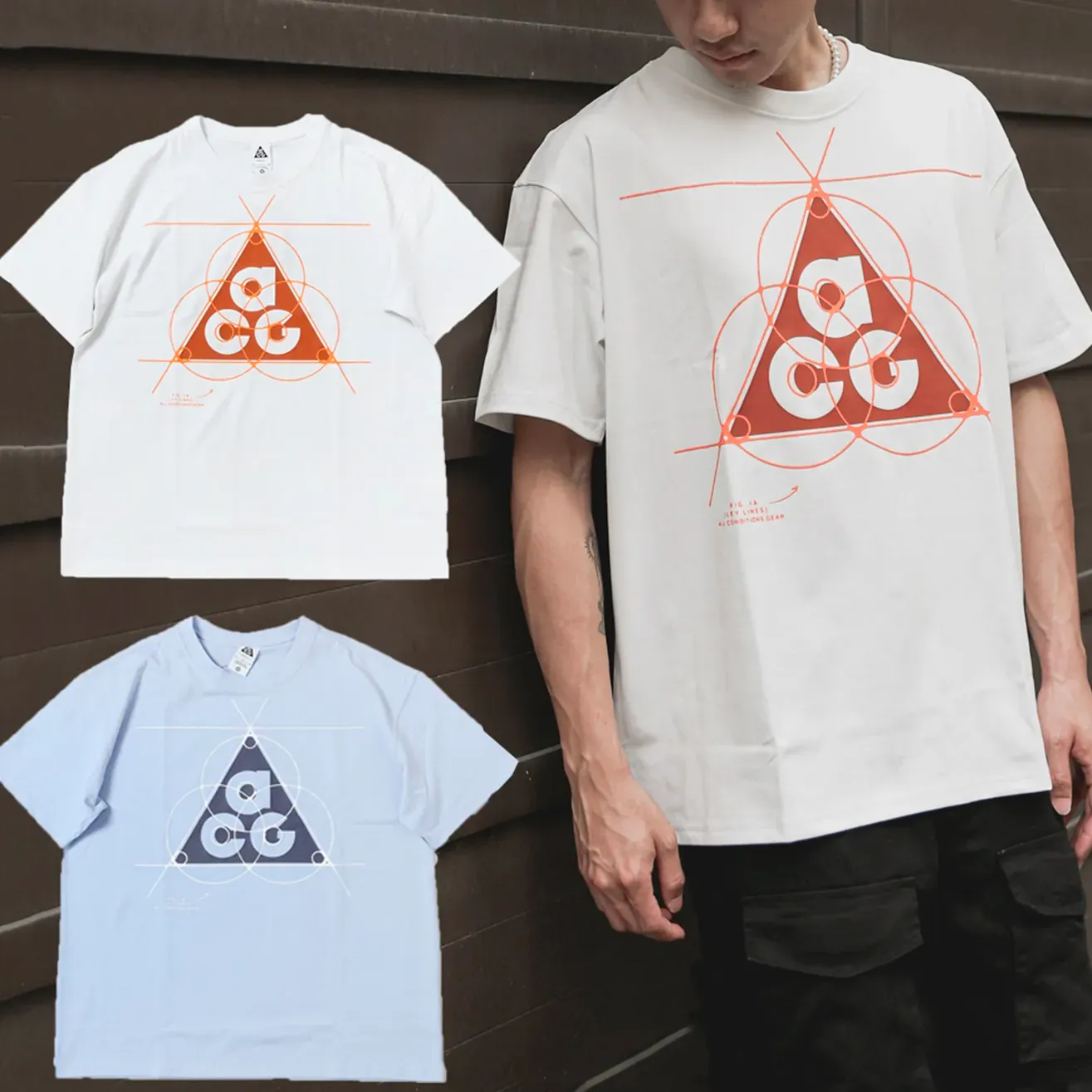 Nike ACG Big Logo Graphic Tee [FB8120]