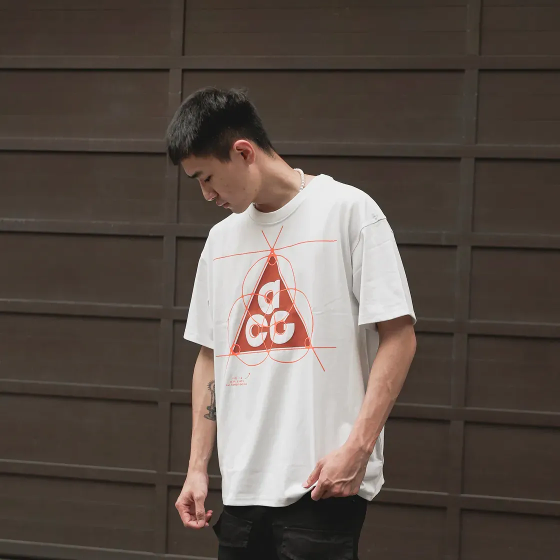 Nike ACG Big Logo Graphic Tee [FB8120]