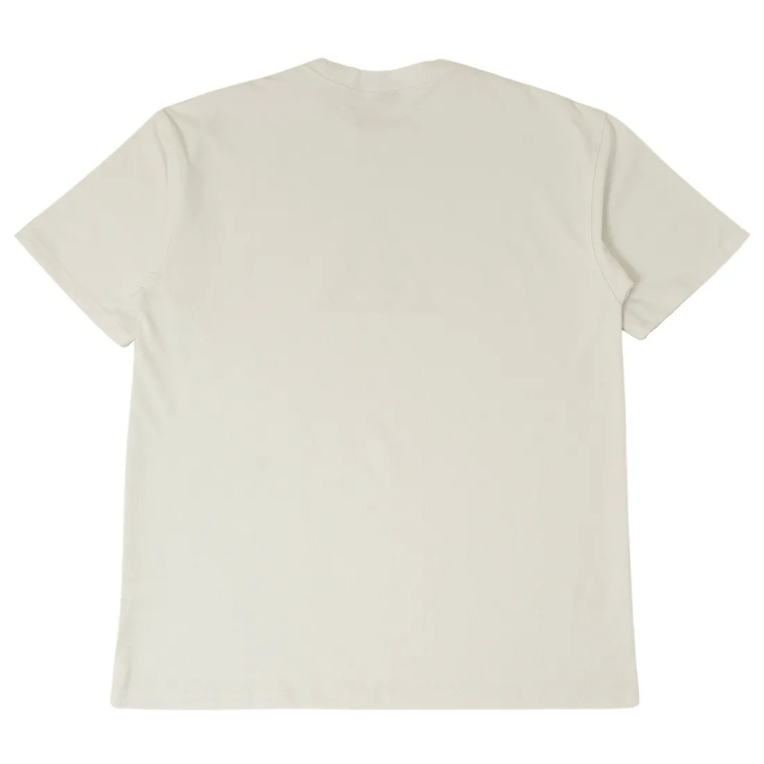 Nike Men Acg Dri-Fit Tee (summit white)